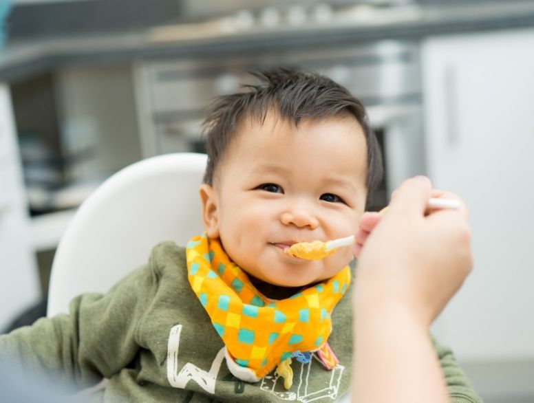 https://www.svz.com/applications/baby-food/ thumbnail image